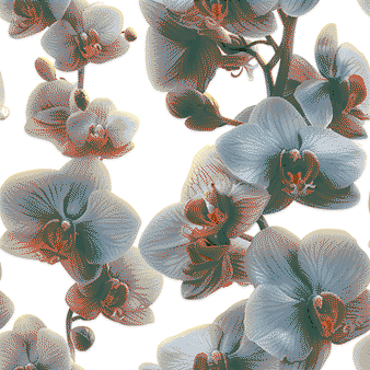 Orchids